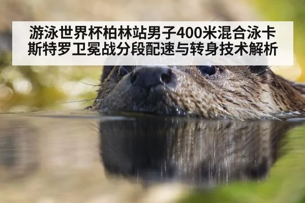 游泳世界杯柏林站男子400米混合泳卡斯特罗卫冕战分段配速与转身技术解析